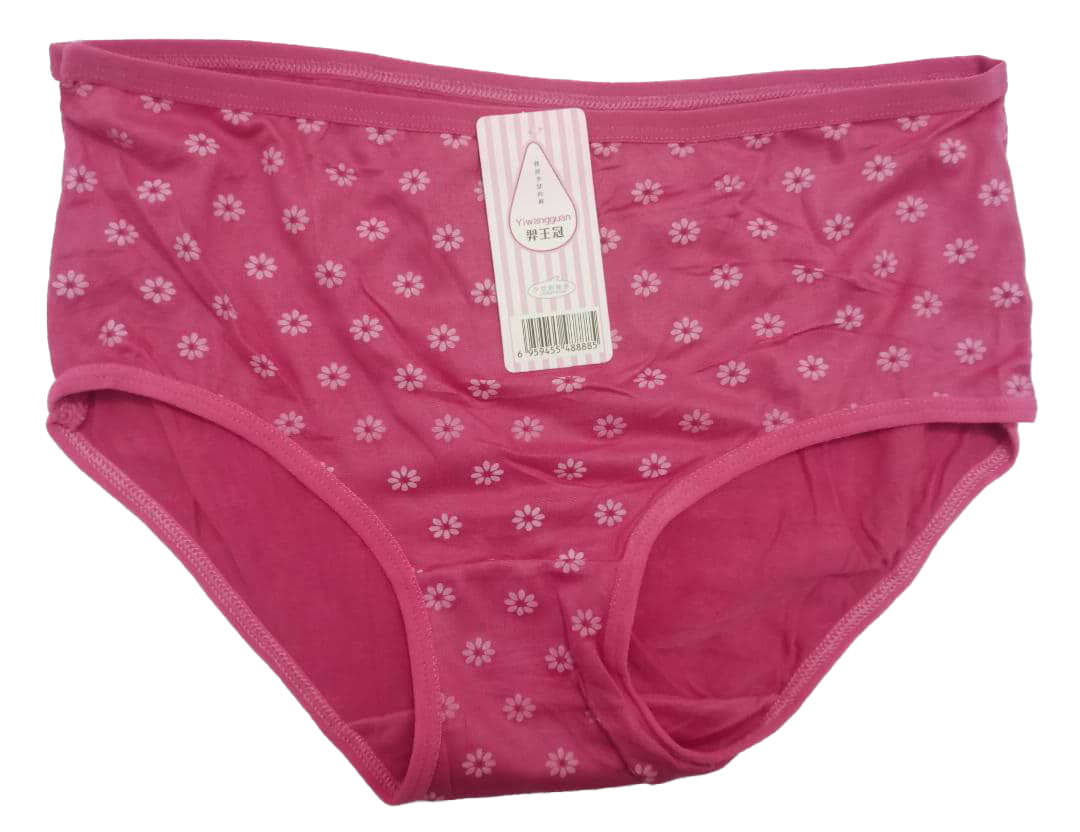 Designer Elastic All Fit Undies Pant | AJZ17f