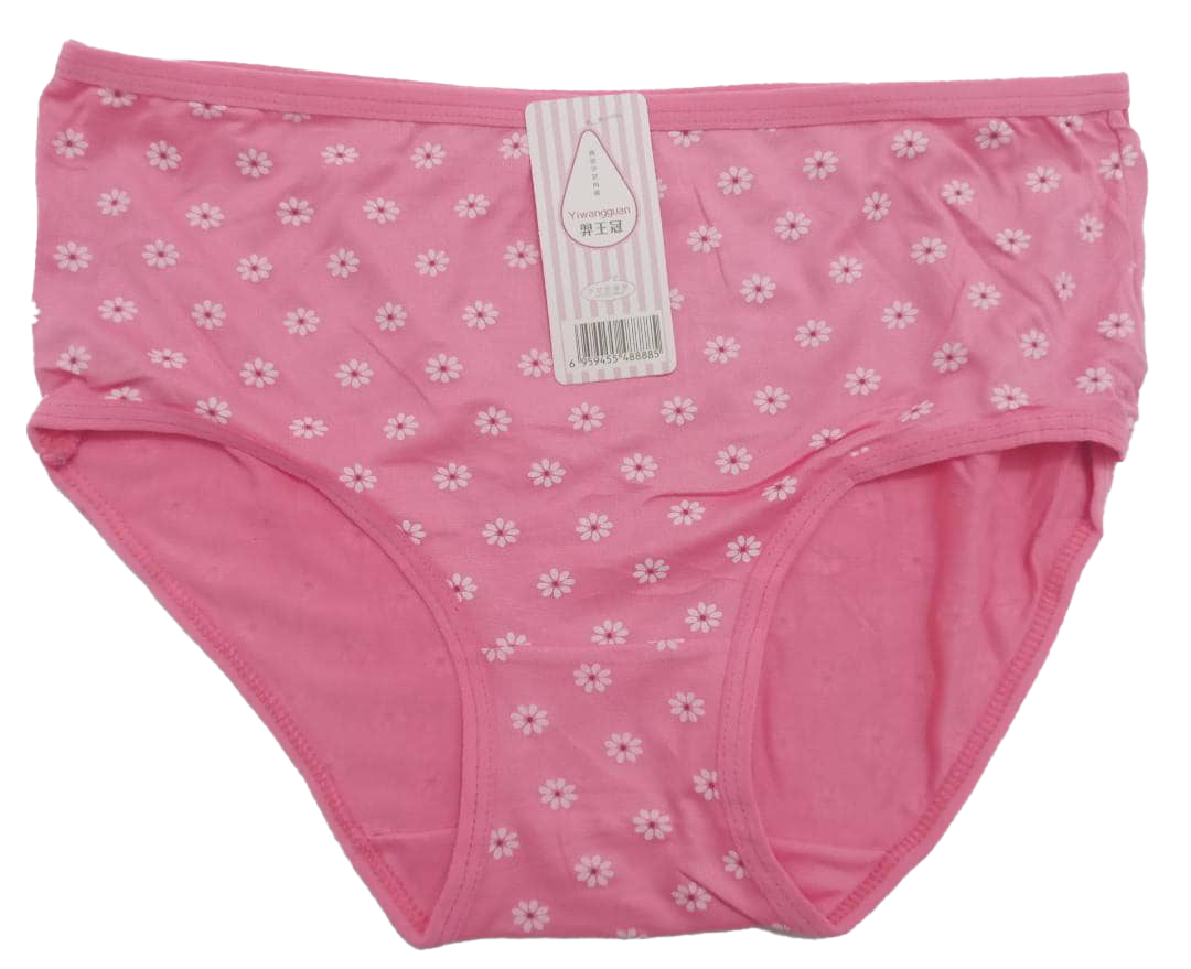 Designer Elastic All Fit Undies Pant | AJZ17g