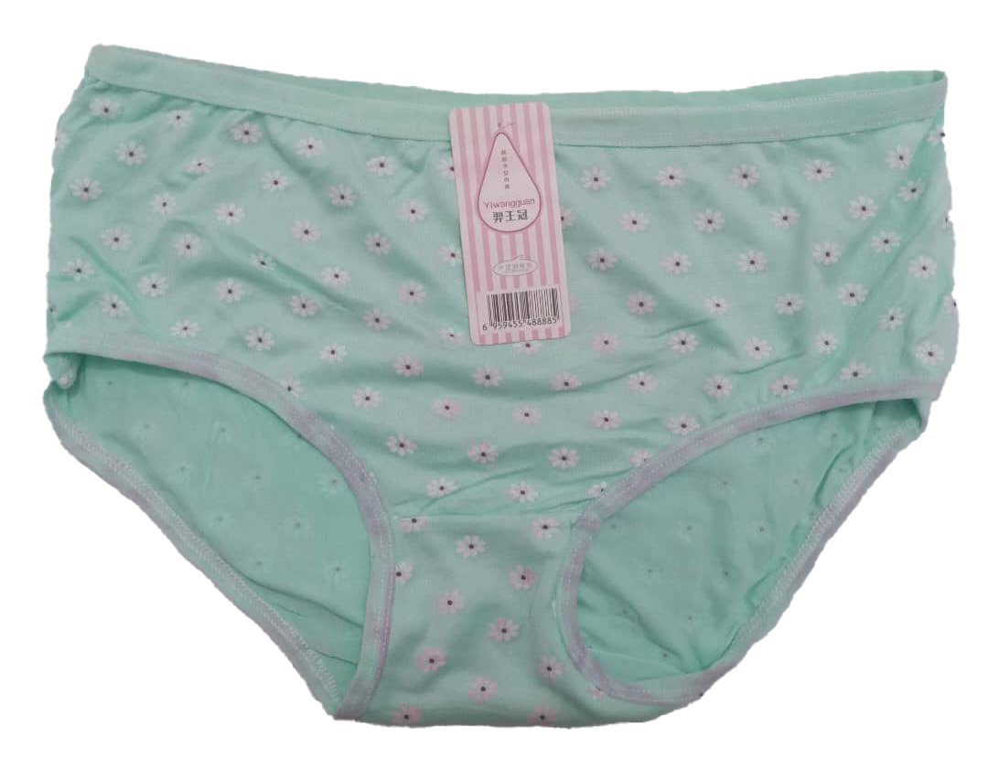 Designer Elastic All Fit Undies Pant | AJZ17h