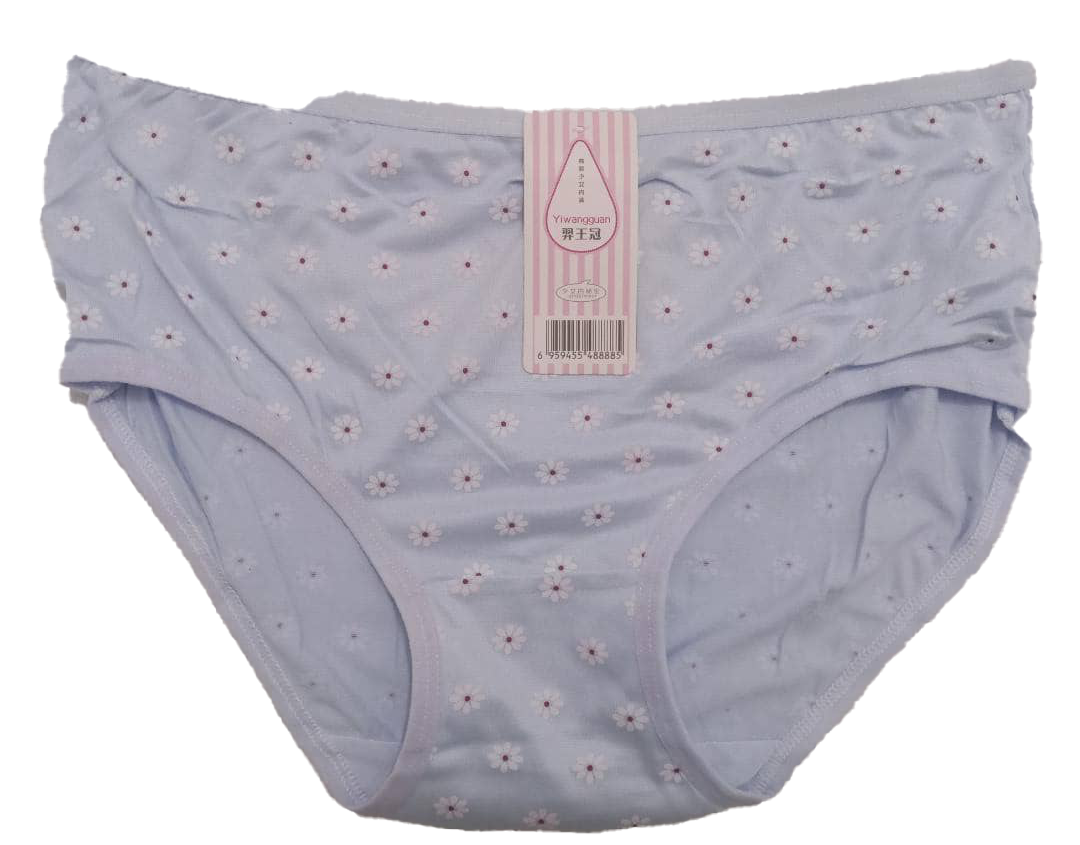 Designer Elastic All Fit Undies Pant | AJZ17i