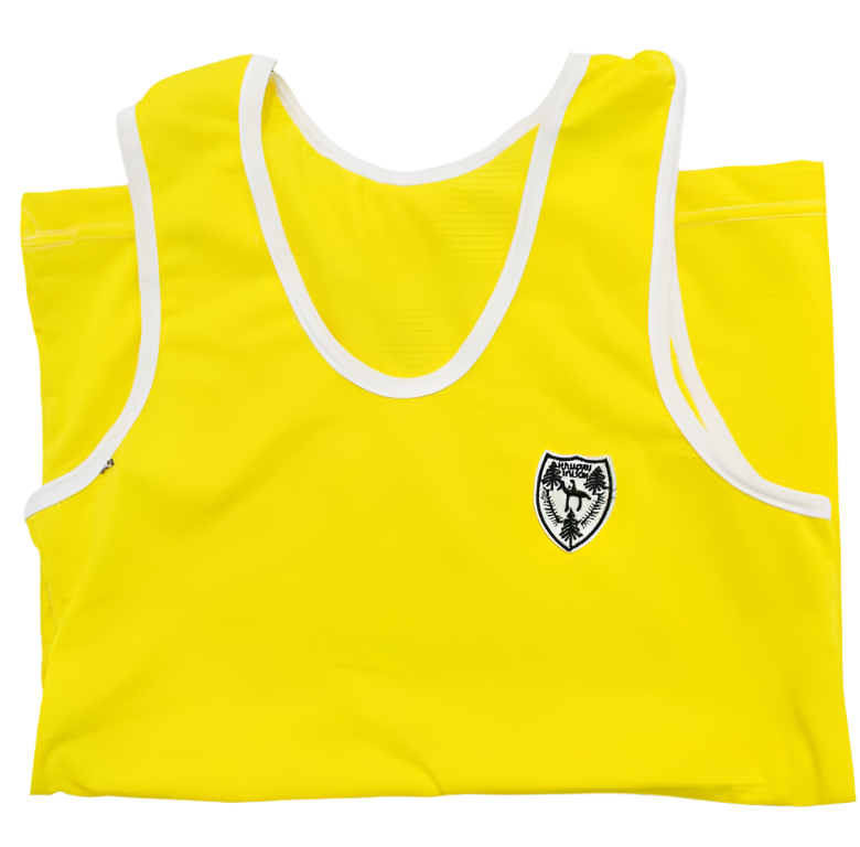 Supreme Colourful Jersey Singlet | EKZ65b