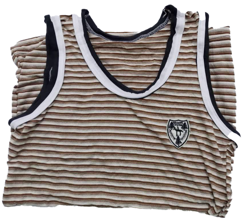 Supreme Colourful Jersey Singlet | EKZ72a